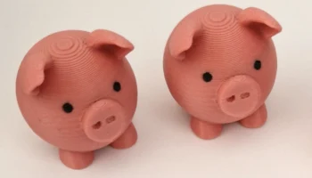Cute Pig