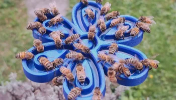 Bienentr&auml;nke f&uuml;r den Garten Biene полив для пчел в саду..... 3