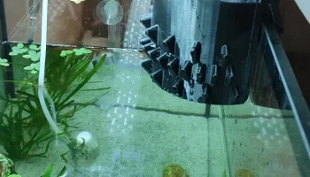 Налив воды в аквариум
