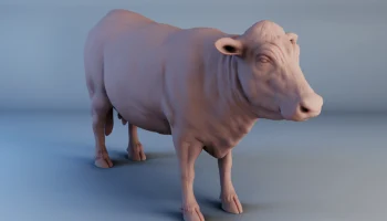 Cow