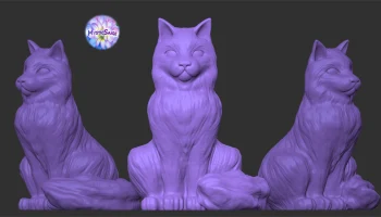 Cat Cat