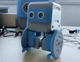 Роботы HP | Отто Walk & Roll 1