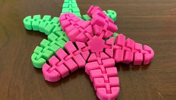 Гибкая морская звезда 2