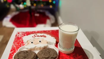 Поднос с молоком и печеньем Санты...... 1