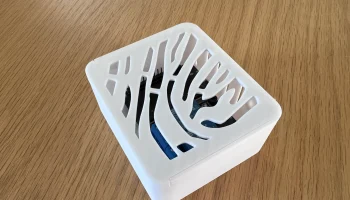 Корпус ESP32 и двойной релейной платы........ 3