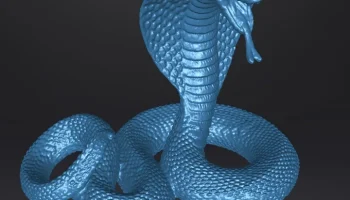 Cobra Cobra