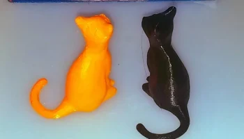 Очаровательный кот 1