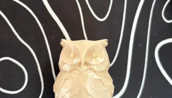 Owl 3