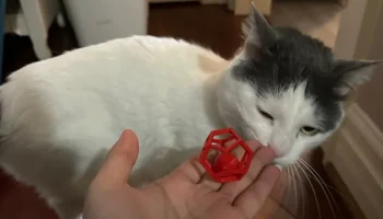 Игрушка для кошек Penta-Ball (печать на месте)... 3