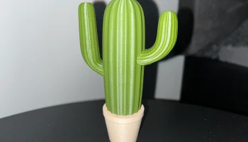 Cactus set 2