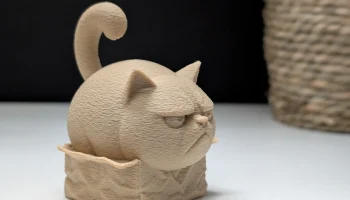 Сердитый кот "в" коробке