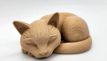 Спящий кот