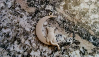 Кот и луна