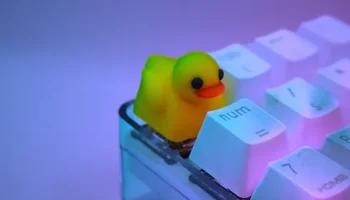 Кепка Rubber Ducky Artisan