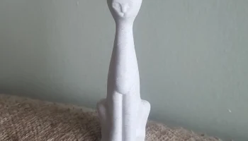 Cat Cat