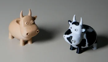 Tiny Cow 1