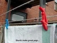 SHARKZ... Забавные многофункциональные зажимы/держатели/п... 6