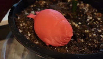 Fat Seal 2