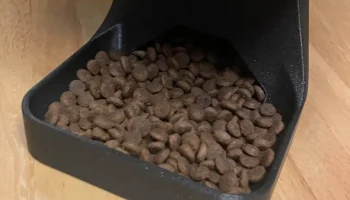 Cat feeder 1