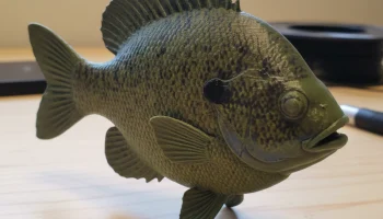 Bluegill - отдельная фигурка рыбы