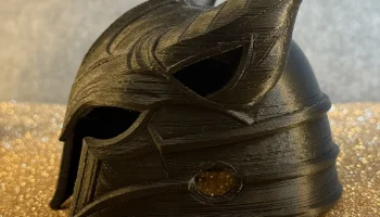 Helmet Cat