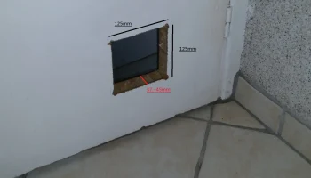 cat door 4