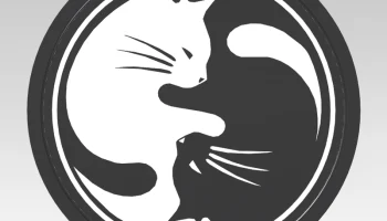 Кот Инь Ян каботажное судно