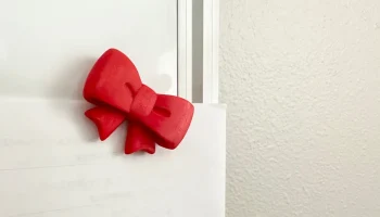 Bow Magnet 1