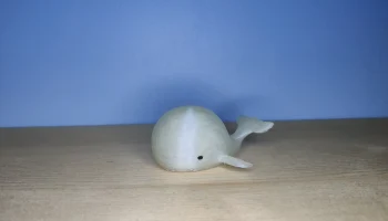 Маленький Кит 1