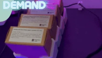 Организатор Бойте Бамбулаб