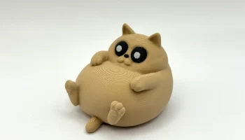 Холодный Чонки Кот 2