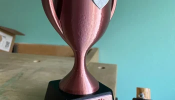 Приз в честь Дня матери