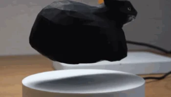 Плавающий кот Максвелл Плавающий кот Максвелл
