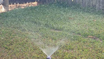 sprinkler