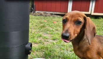 Автокормушка для щенков Pepper's Puppy 3
