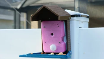 Камера кормушки Iot Birder 4
