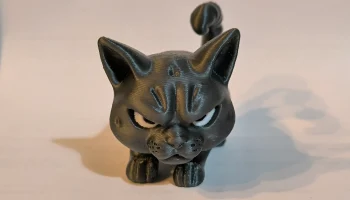Angry Cat 1