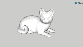 Cat Cat
