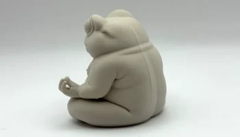 Коренастая дзен-лягушка 1