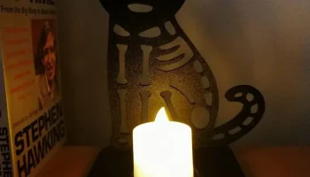 Хэллоуин кот
