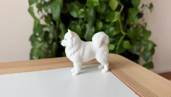 Samoyed 2