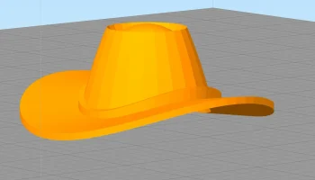 Cowboy Hat