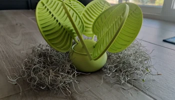 Подставки для напитков из листьев с держателем для декора... 4