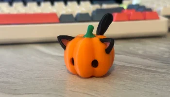 кот тыквы (без подставок) 1