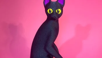 Поток кот-кот