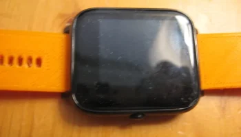 Watch Band 2