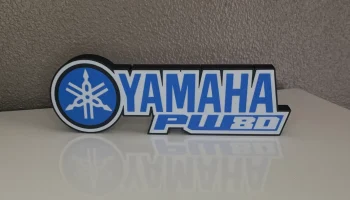 Лайтбокс Yamaha PW80 3