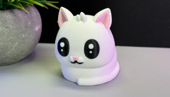 Cute Cat