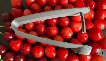 Средство для удаления косточек из вишневой косточки...... 2