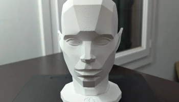 Asaro Head 1